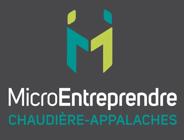MECA_logo_fond-gris